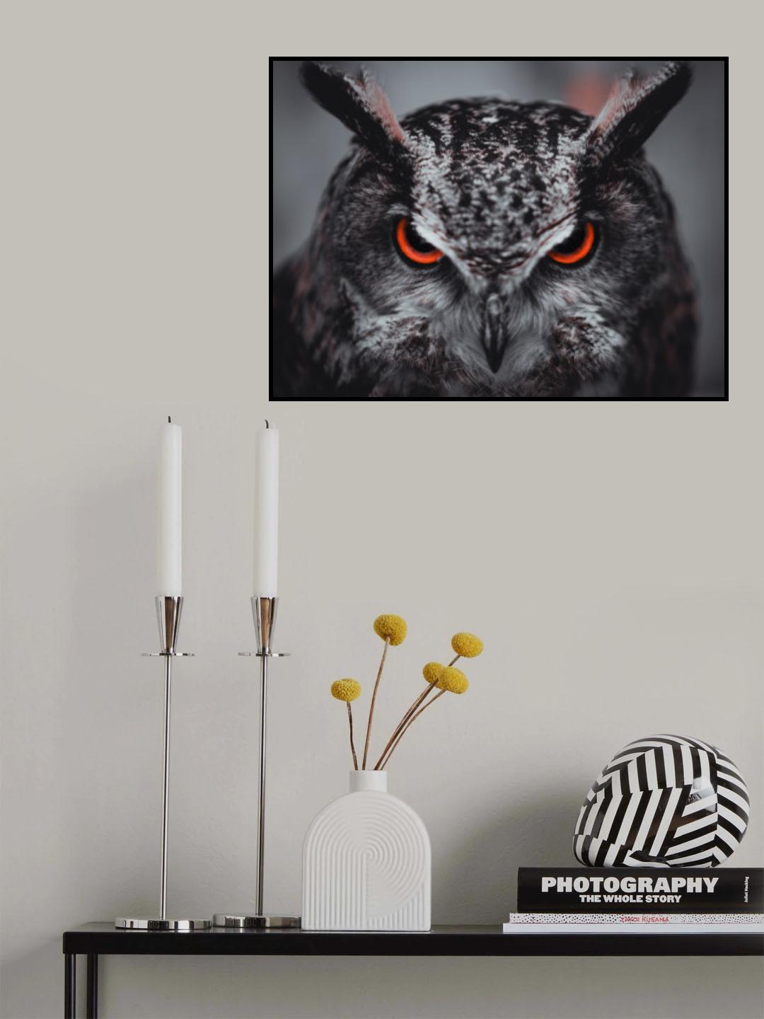 Gimlet Eyes Poster och Canvastavla