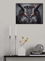 Gimlet Eyes Poster och Canvastavla