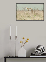 Hunting Short Eared Owl Poster och Canvastavla