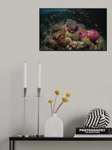 Anemone city Poster och Canvastavla
