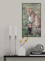 Do I look like my mom? Poster och Canvastavla