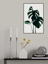 Monstera Natural 29 Poster och Canvastavla