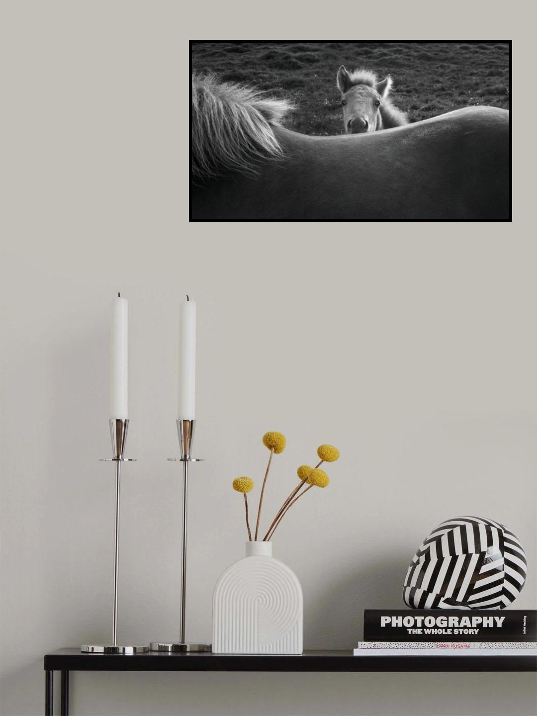 Mother's Back Poster och Canvastavla
