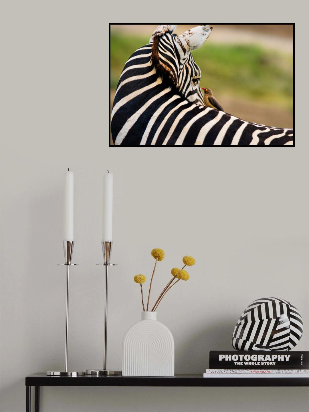 Eye Contact Poster och Canvastavla