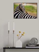 Eye Contact Poster och Canvastavla