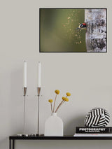 Spring Cleaning Poster och Canvastavla