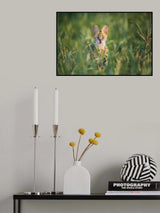 the serval Poster och Canvastavla