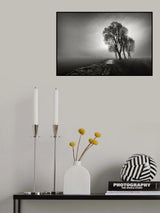 Fog Poster och Canvastavla