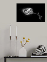 Poster och Canvastavla