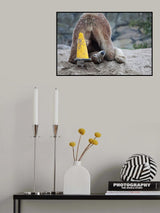 GOTCHA!! Poster och Canvastavla