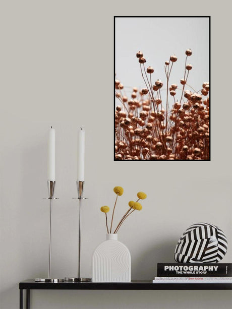 Dried Grass Copper 02 Poster och Canvastavla