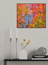 Kaleidoscope Poster och Canvastavla