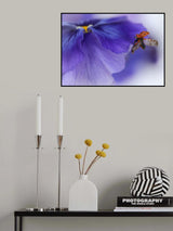 Ladybird almost flying away Poster och Canvastavla
