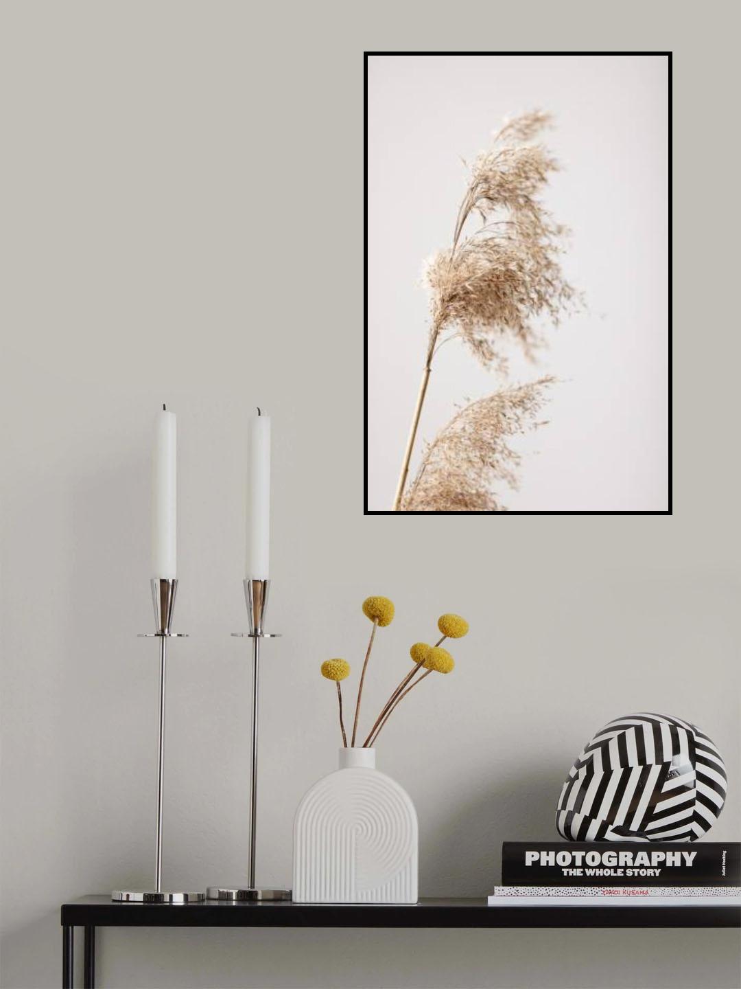 Reed Grass Grey 03 Poster och Canvastavla