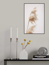 Reed Grass Grey 03 Poster och Canvastavla