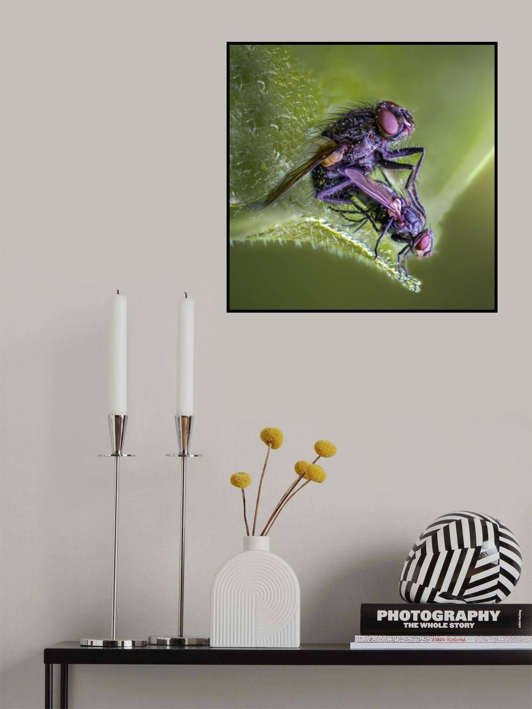 Spring is in the air Poster och Canvastavla