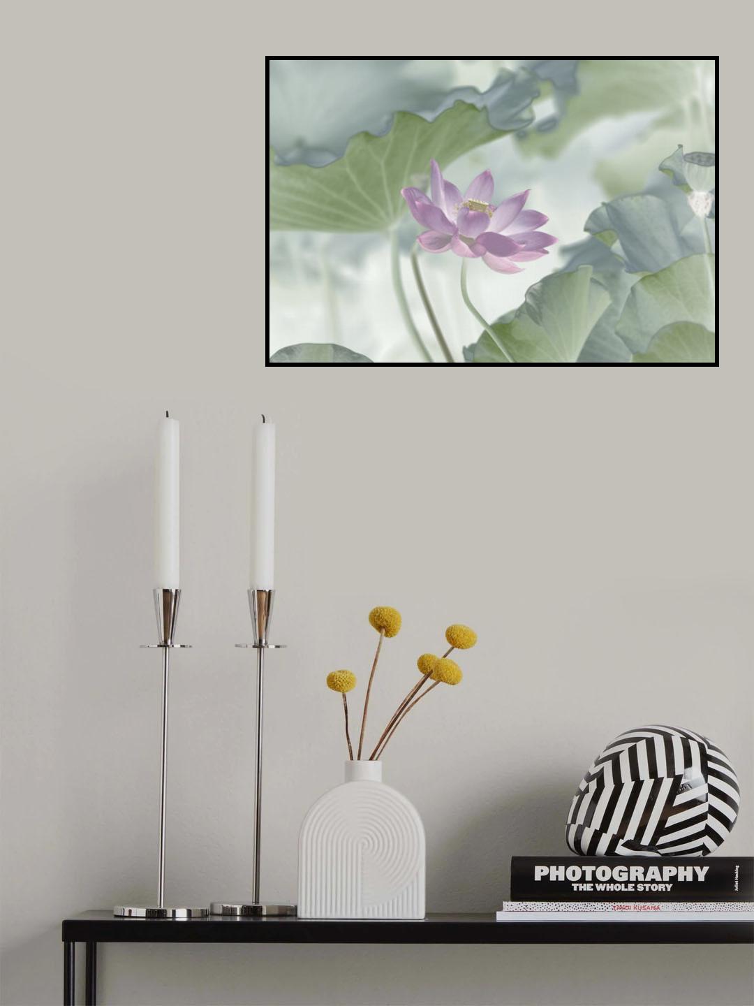 Lotus Poster och Canvastavla