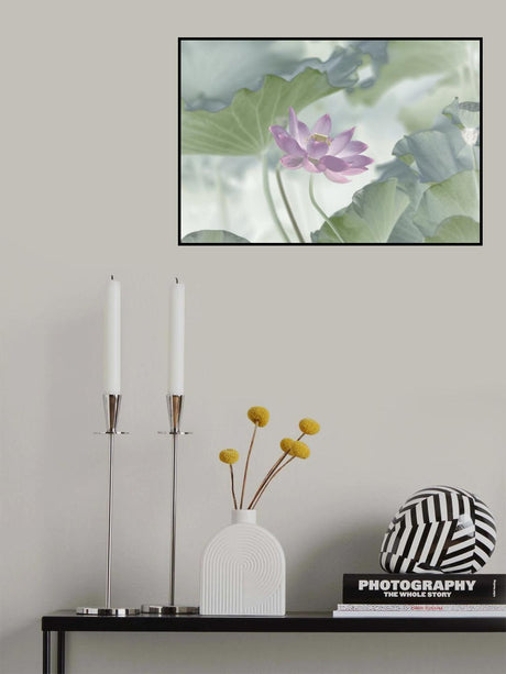 Lotus Poster och Canvastavla