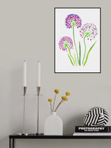 Giant onion or Allium giganteum botanical painting Poster och Canvastavla