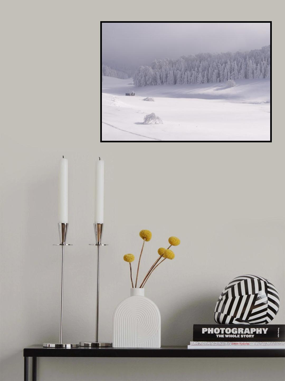 Sun and mist Poster och Canvastavla
