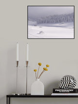 Sun and mist Poster och Canvastavla