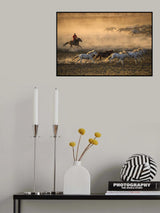 Mongolia Horses Poster och Canvastavla