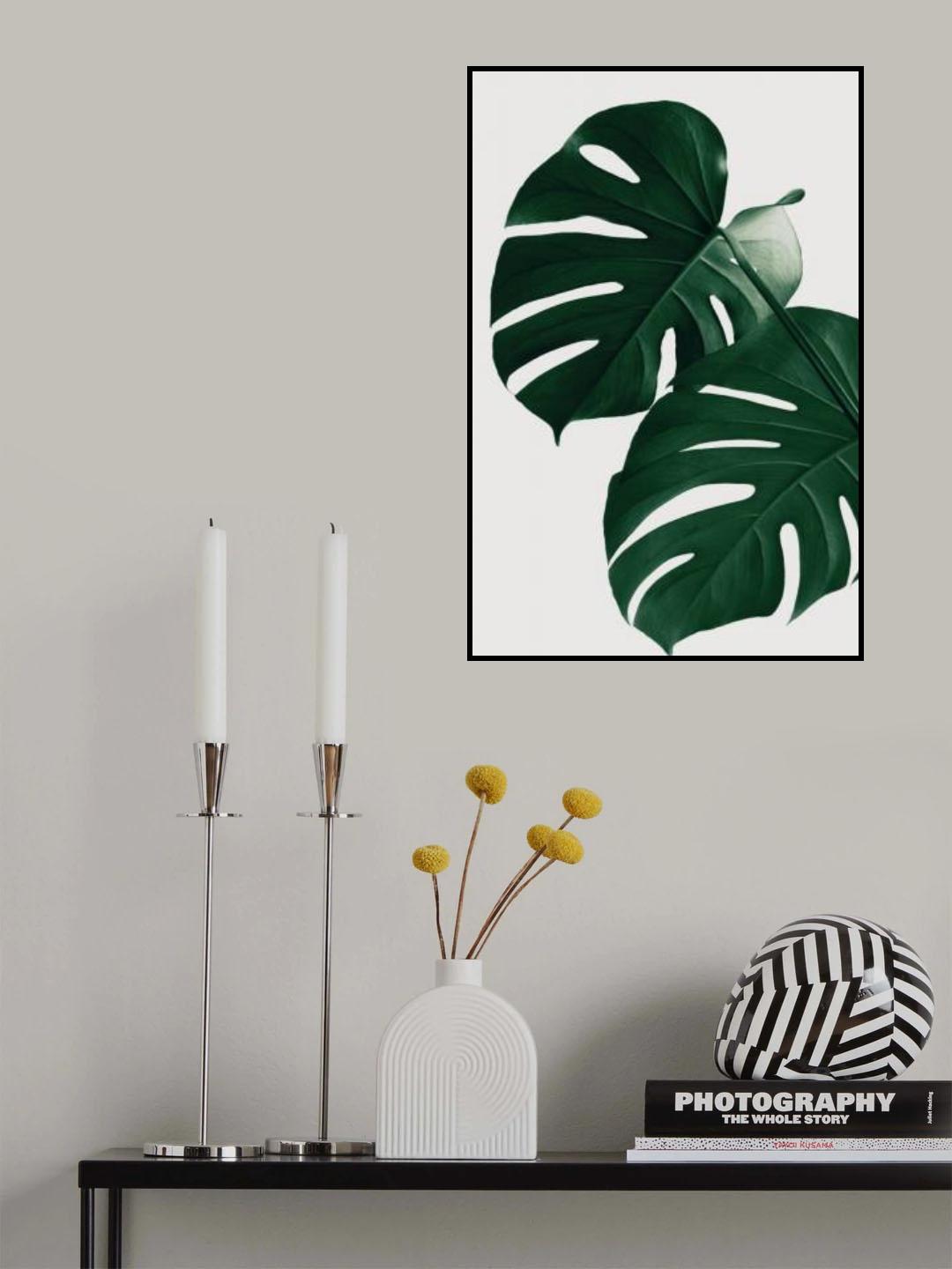 Monstera Natural 32 Poster och Canvastavla