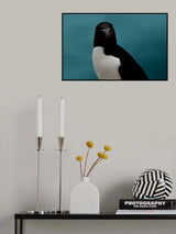Watching you Poster och Canvastavla
