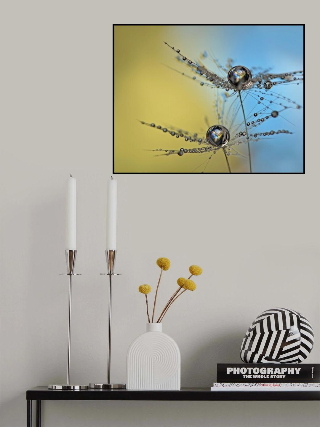 Duo tone Poster och Canvastavla