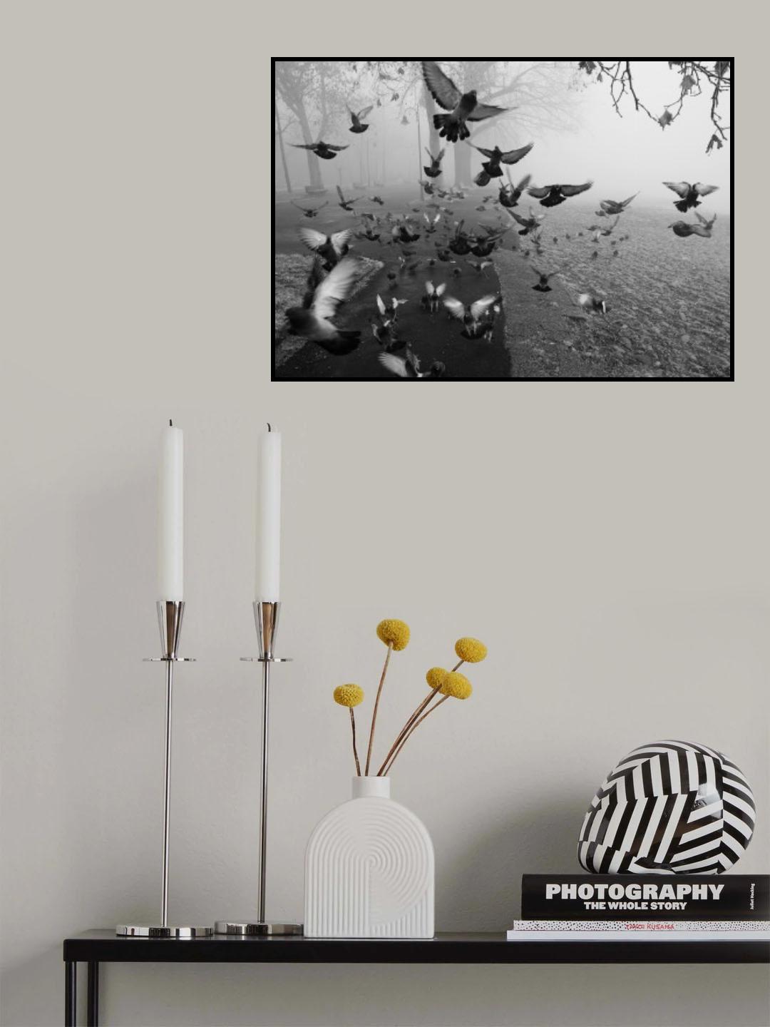 Feathers in the mist Poster och Canvastavla