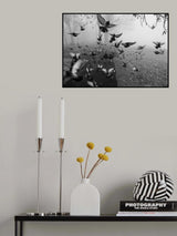 Feathers in the mist Poster och Canvastavla