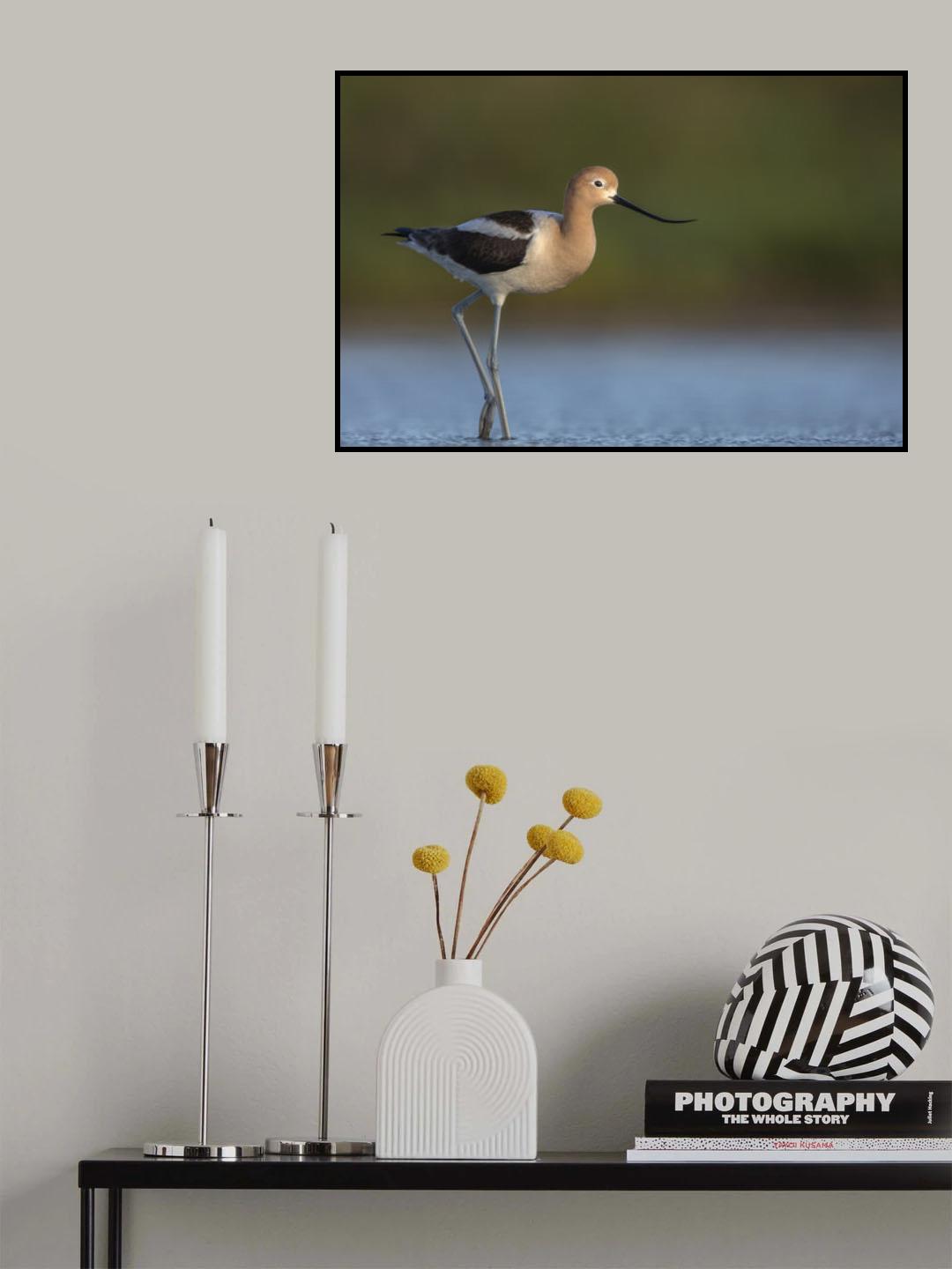 Complementary colors Poster och Canvastavla