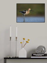 Complementary colors Poster och Canvastavla