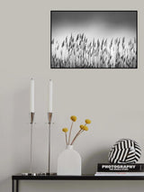 Reeds Poster och Canvastavla