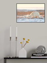 Before getting dark Poster och Canvastavla