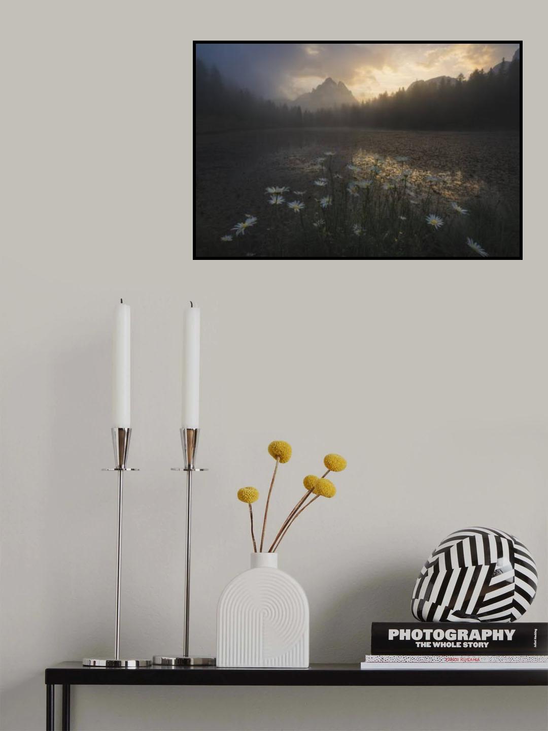 The Last Dance Poster och Canvastavla