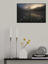 The Last Dance Poster och Canvastavla