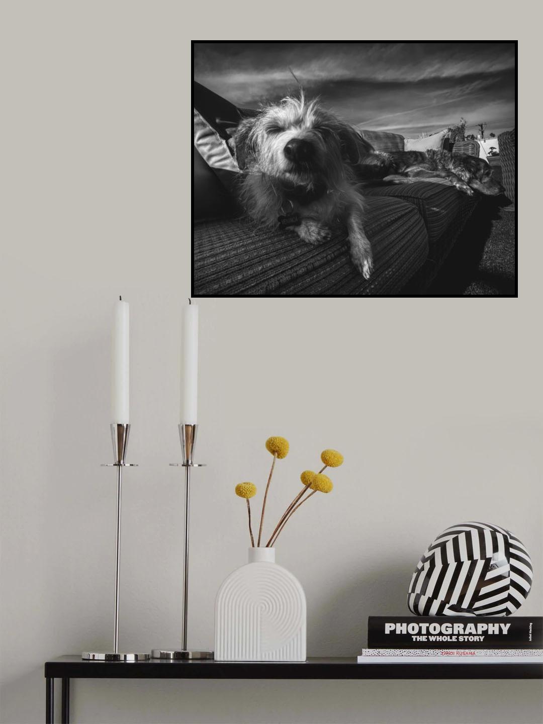 Sunbather Poster och Canvastavla