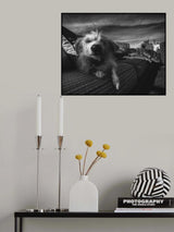 Sunbather Poster och Canvastavla