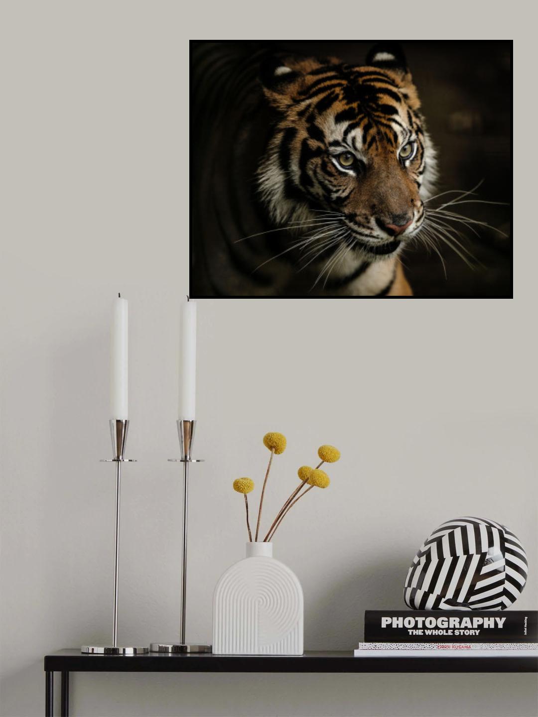 Tigers Poster och Canvastavla