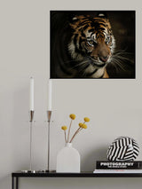 Tigers Poster och Canvastavla
