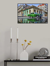 Under a worned green car Poster och Canvastavla