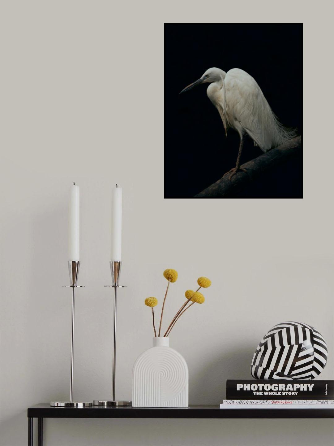 White on Black Poster och Canvastavla