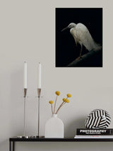 White on Black Poster och Canvastavla