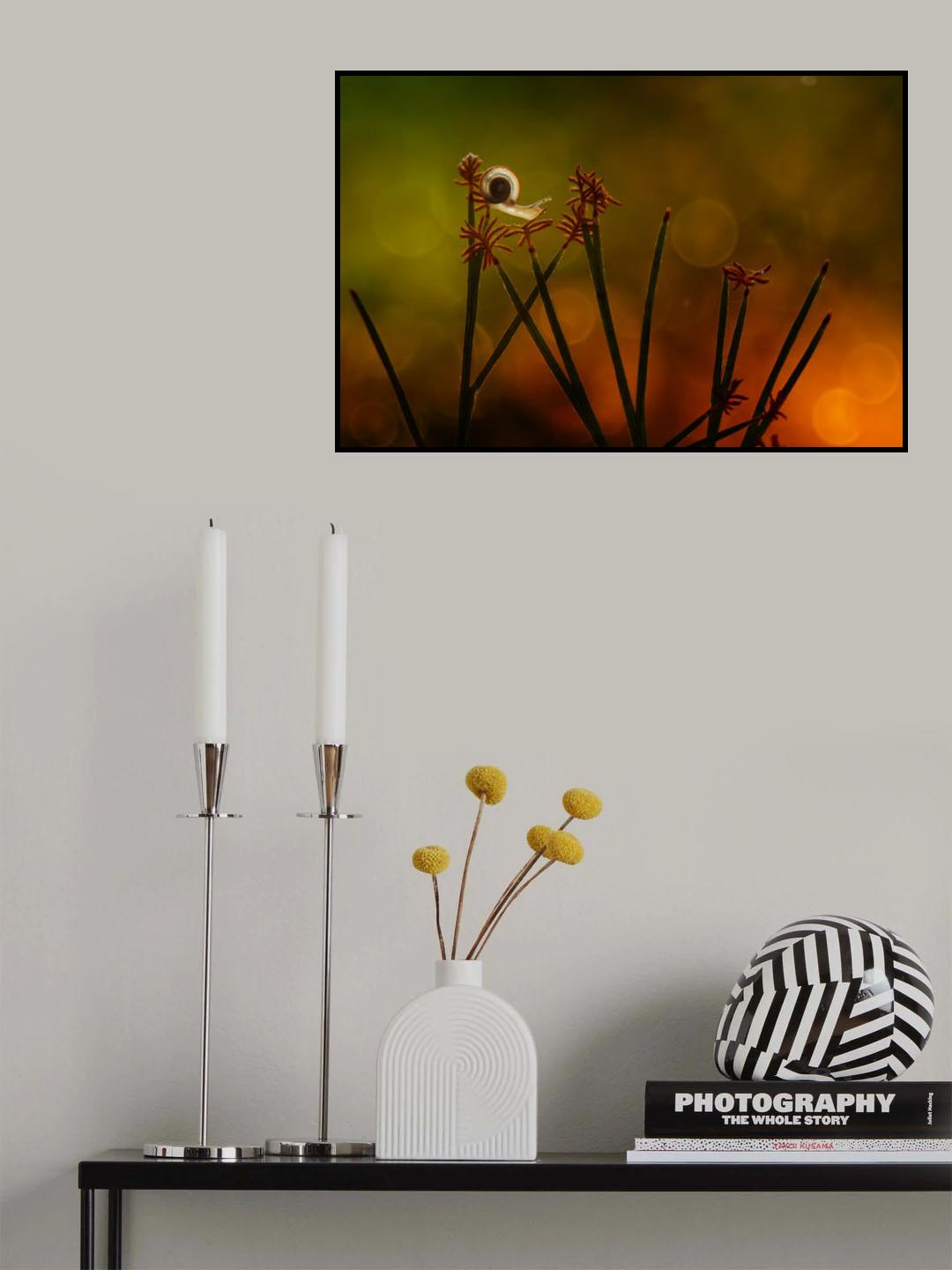 Dancing Snail Poster och Canvastavla