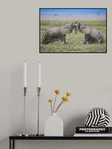 When Push comes to Shove Poster och Canvastavla