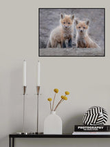 Two little foxes Poster och Canvastavla