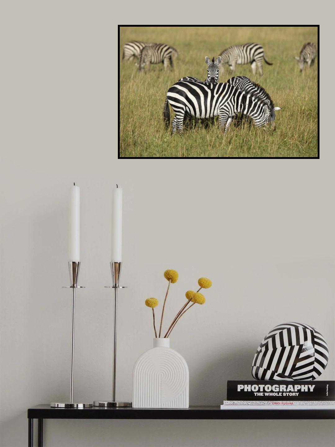 Poster och Canvastavla