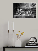 Morning wash Poster och Canvastavla