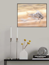 Poster och Canvastavla